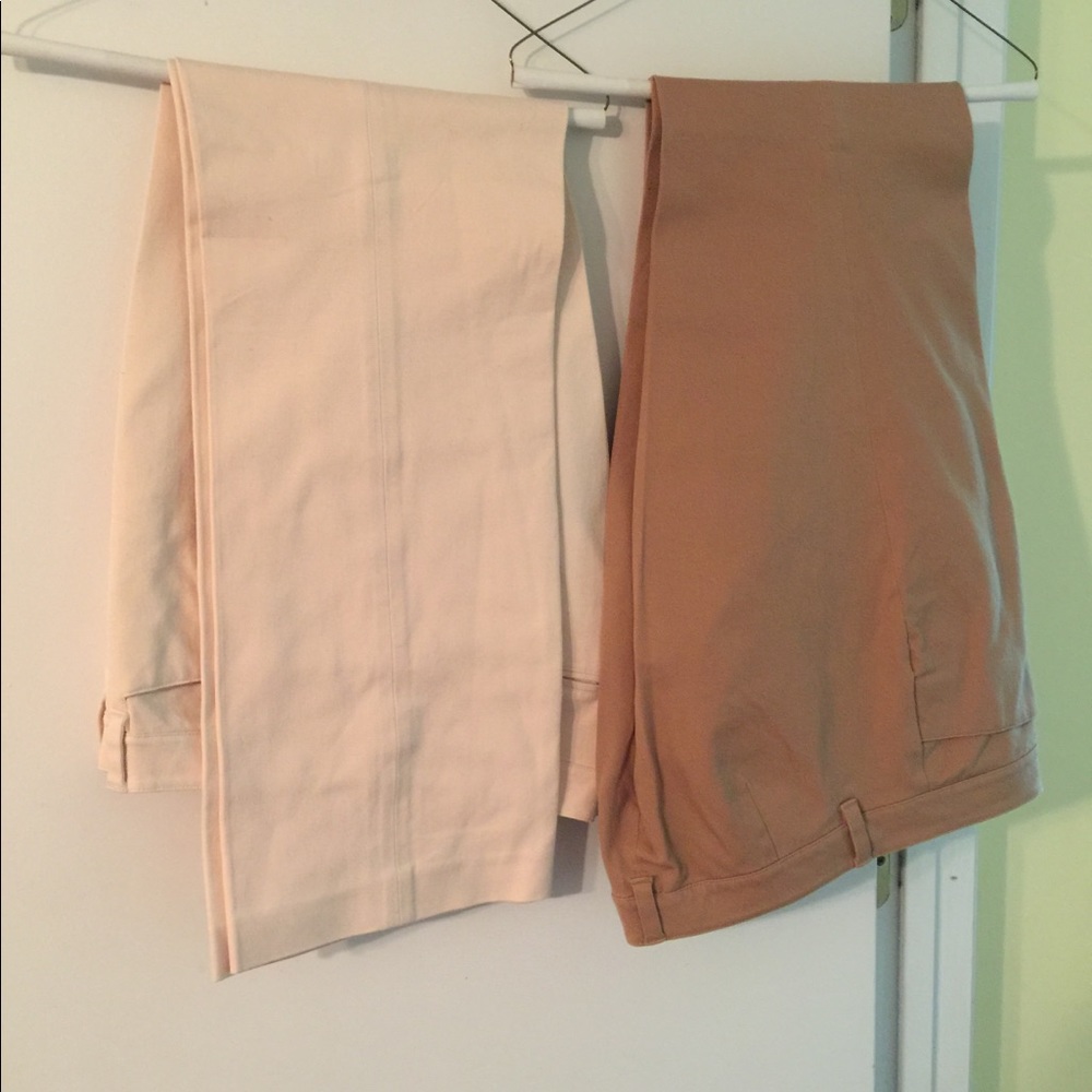 Dress pant